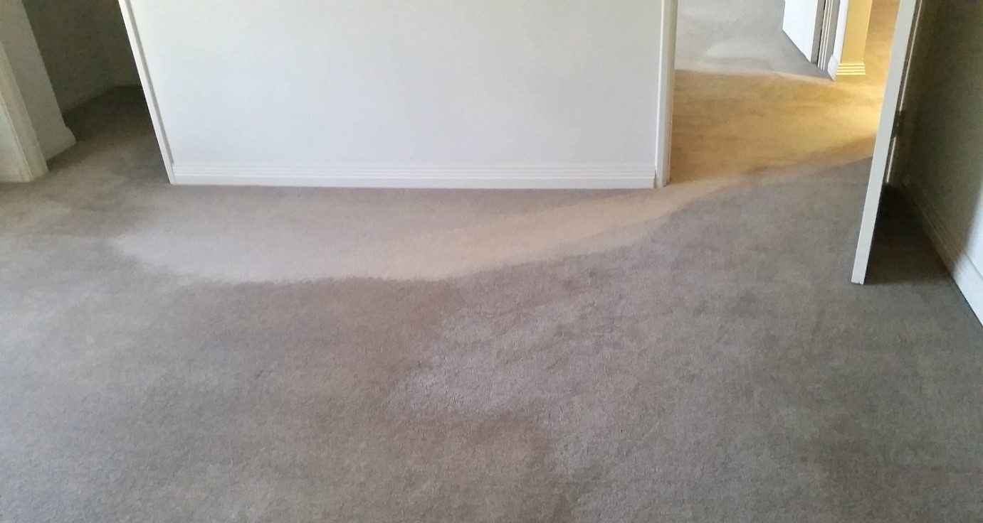 Carpet Characteristic