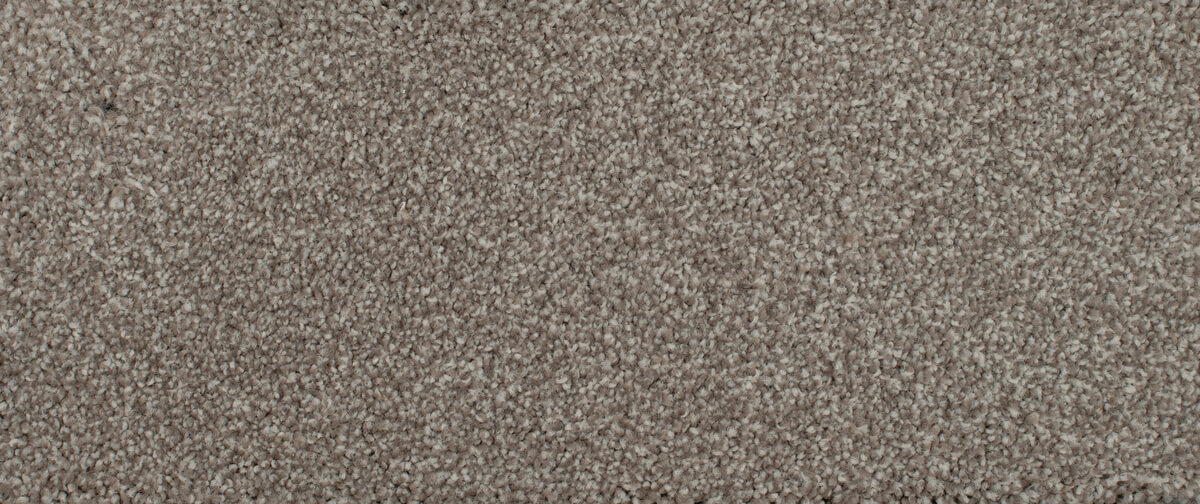 Carpet Thumbnail