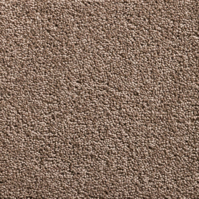 Carpet Thumbnail