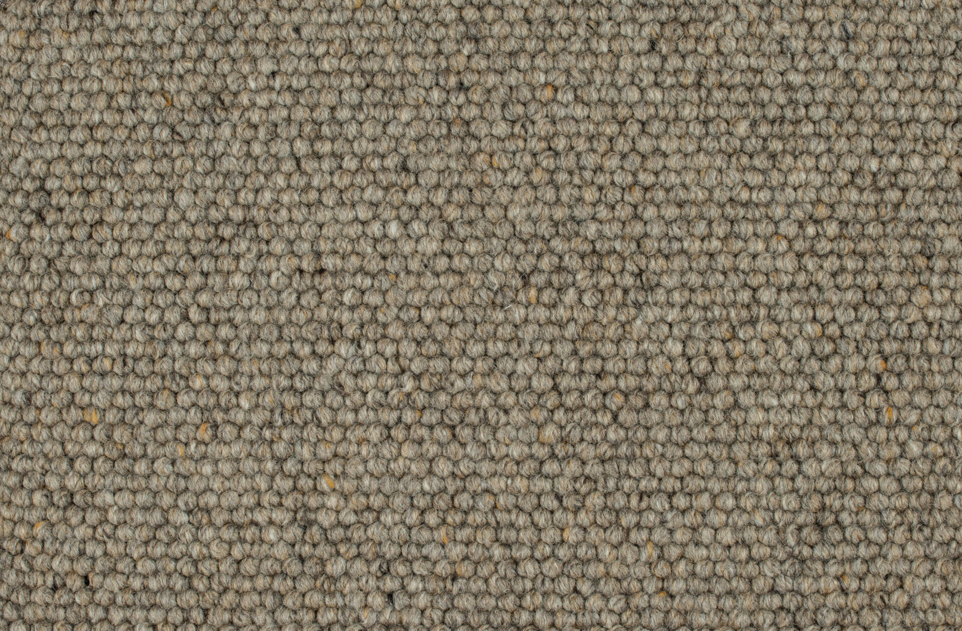 Carpet Selected